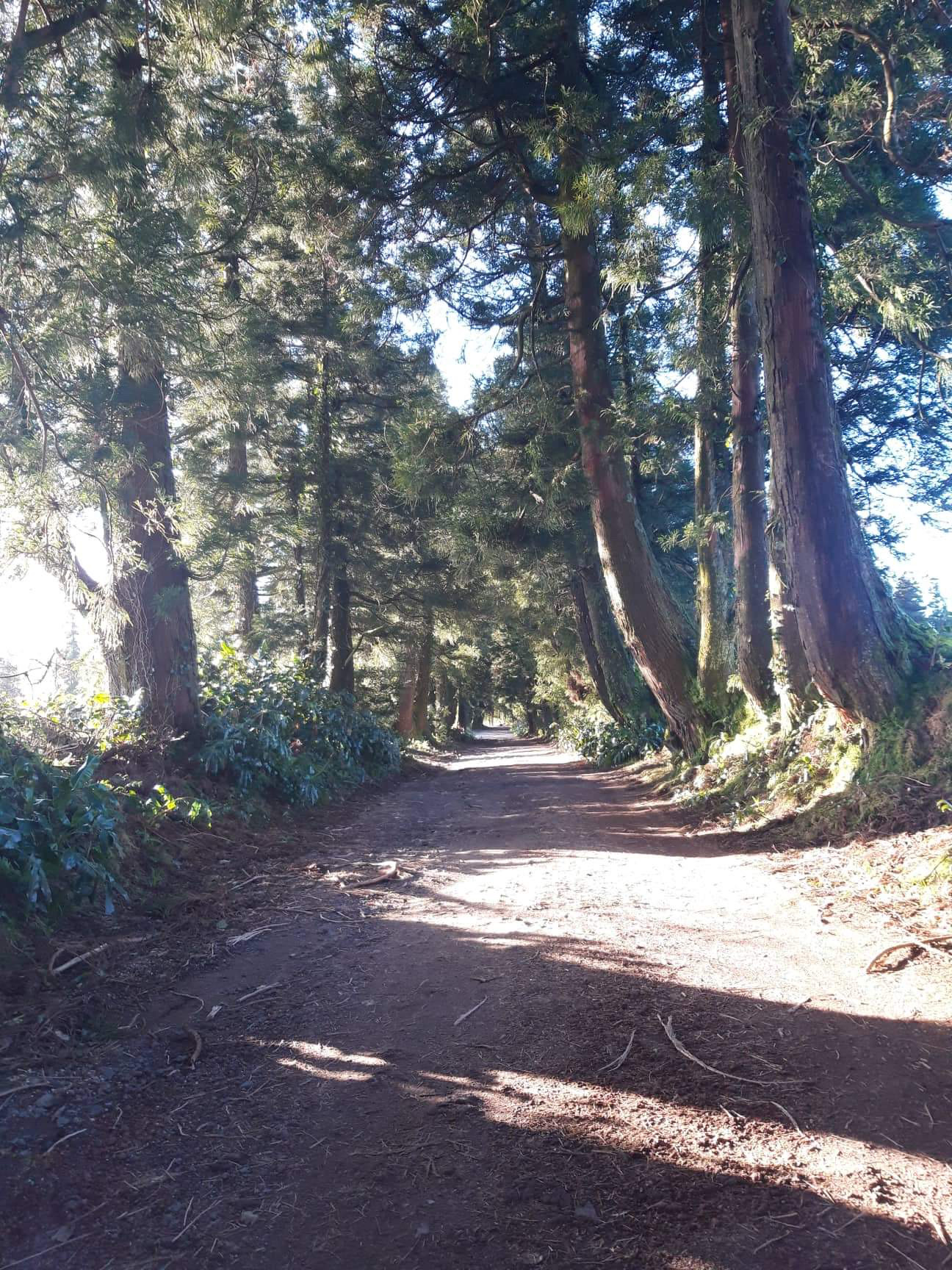 Por lugares incertos