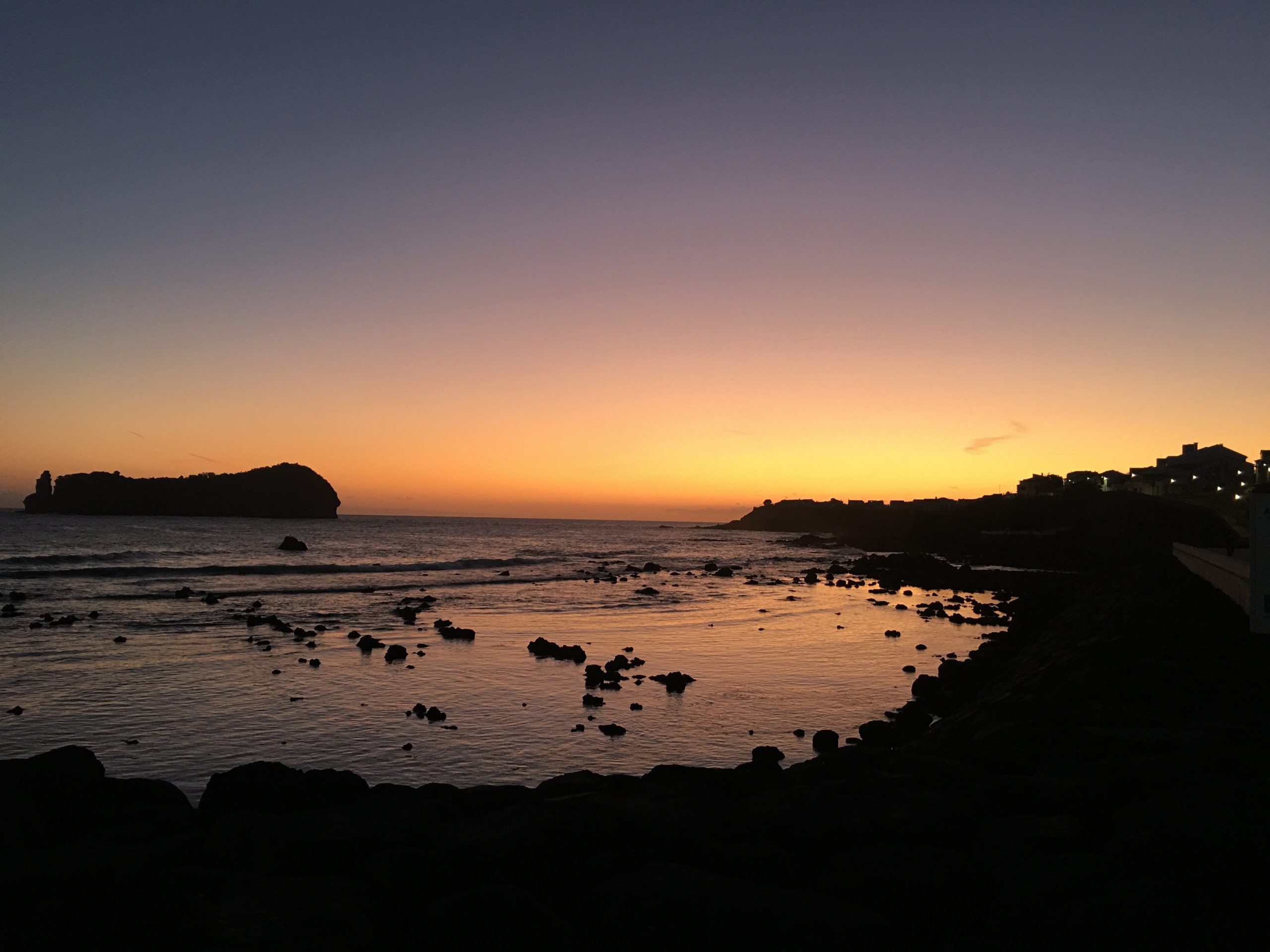 As flores não duram para sempre