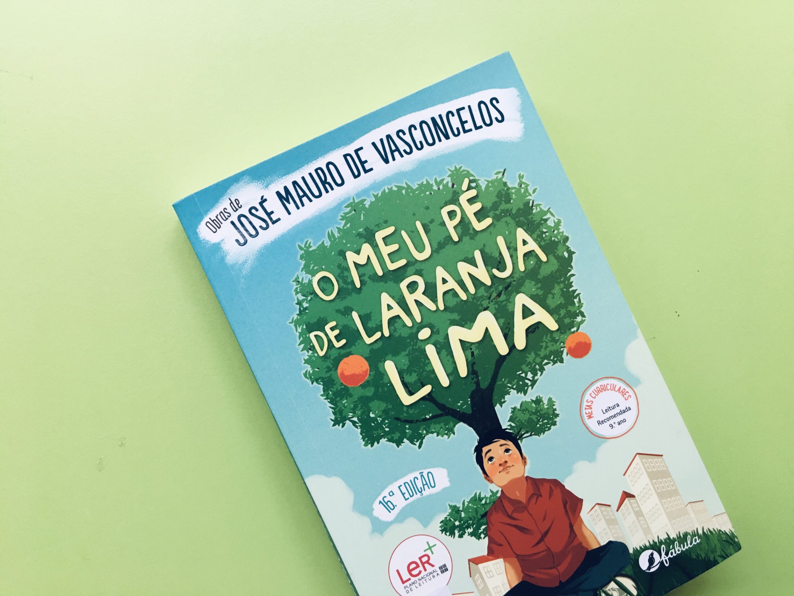 Uma Dúzia de Livros | O Meu Pé de Laranja Lima